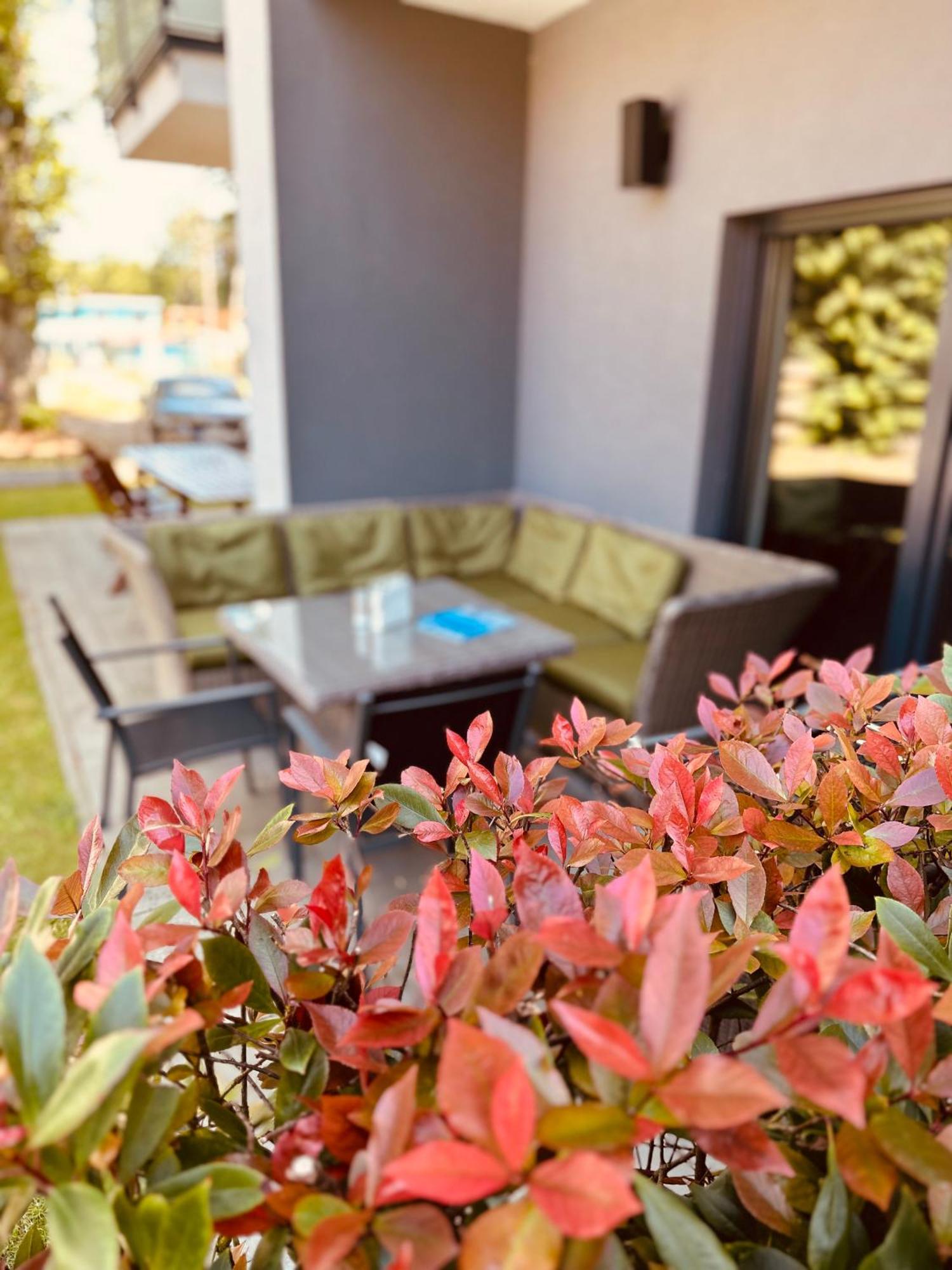 Holiday Siesta Pensjonat, Domki ريفال المظهر الخارجي الصورة